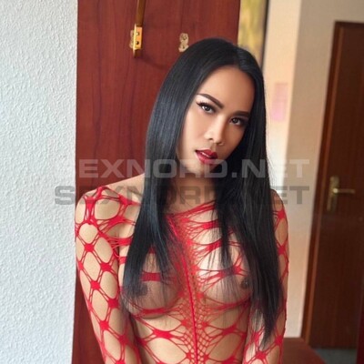 Modelle Trans Aileen aus Hamburg - Salzwedel, Sag ich dir am Telefon - picture 4