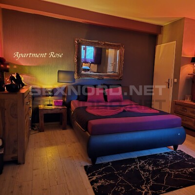 Modelle Wohlfühloase in Lüneburg aus Hamburg - Lüneburg, Lüneburger Straße 3 - picture 4